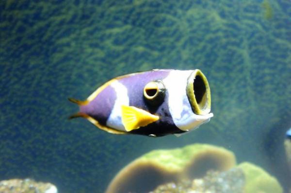 Foto des Wasserzoos „Aqua-Zoo“