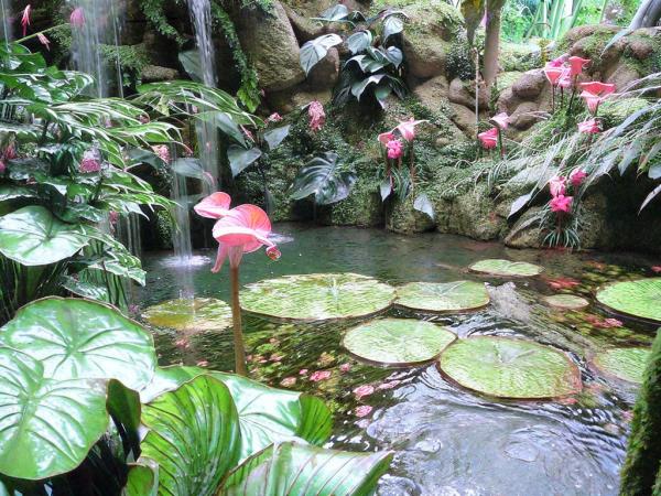 Botanischer Garten Foto