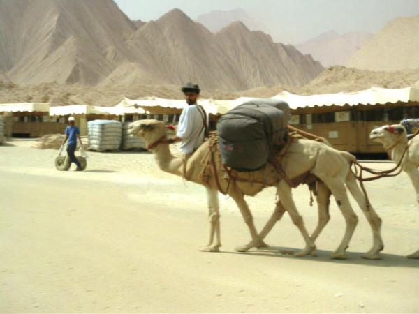 Hawat Ghalim Foto