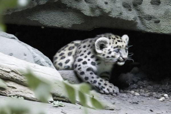 Zoo Foto