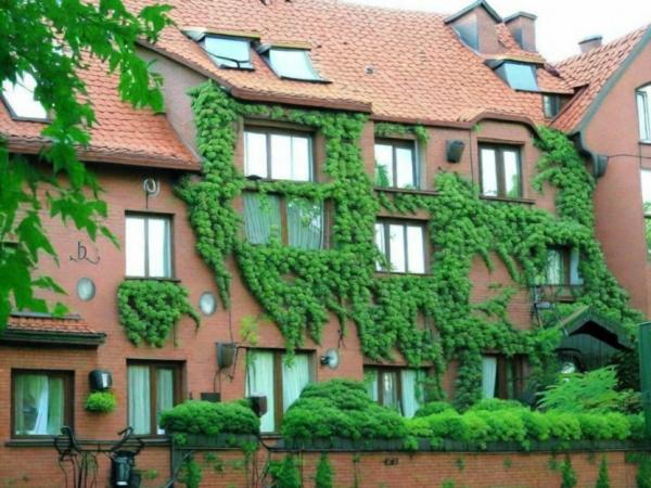 Gästehaus "Paraiso" Foto