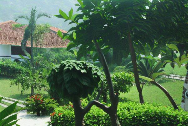 Botanischer Garten Foto