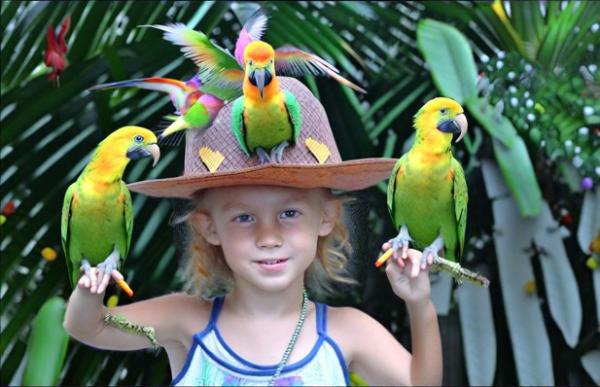 Vogelpark Vogelparadies Foto