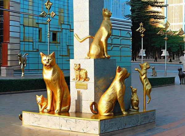 Quadratisches sibirisches Katzenfoto
