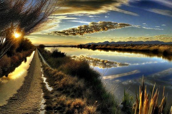 Albufera Foto