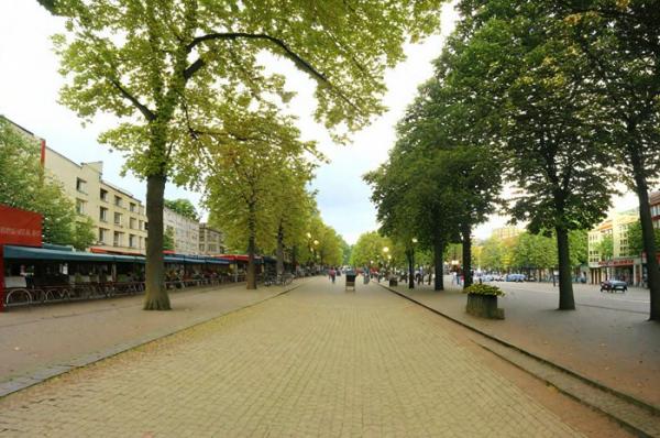 Unter den Linden Boulevard Foto
