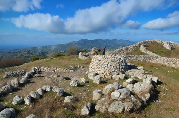 Rizenia Foto