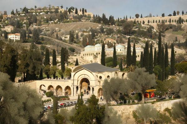 Gethsemane Foto