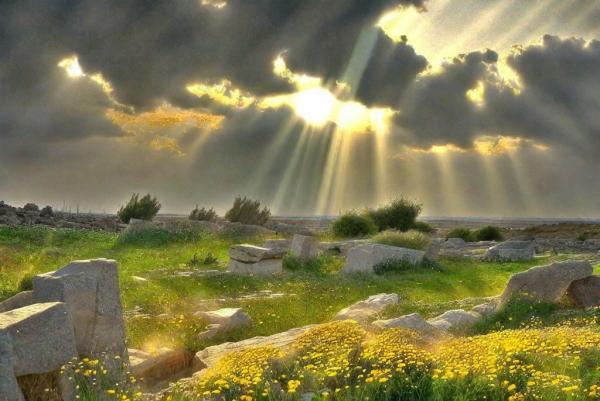 Amatus Foto