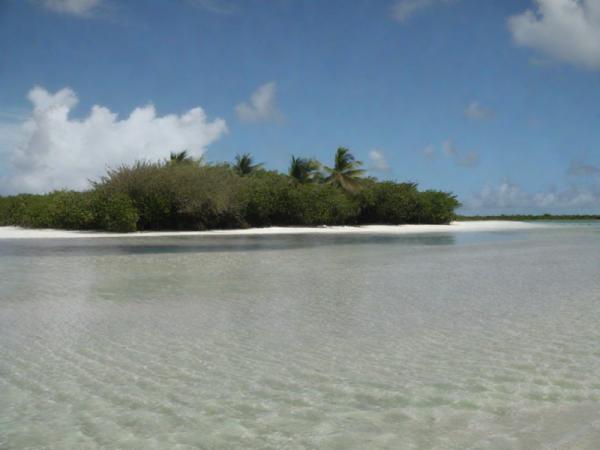 Catalinita Island Foto
